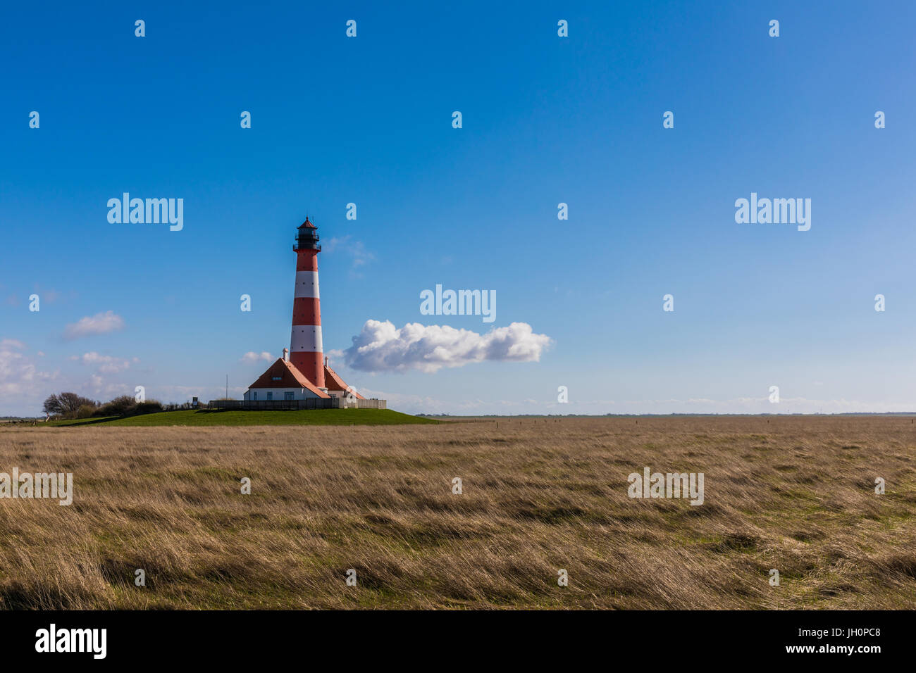 Lighthouse and keeper houses with Reed and Grass in German North Sea Region, North Frisia, Schleswig-Holstein Stock Photo