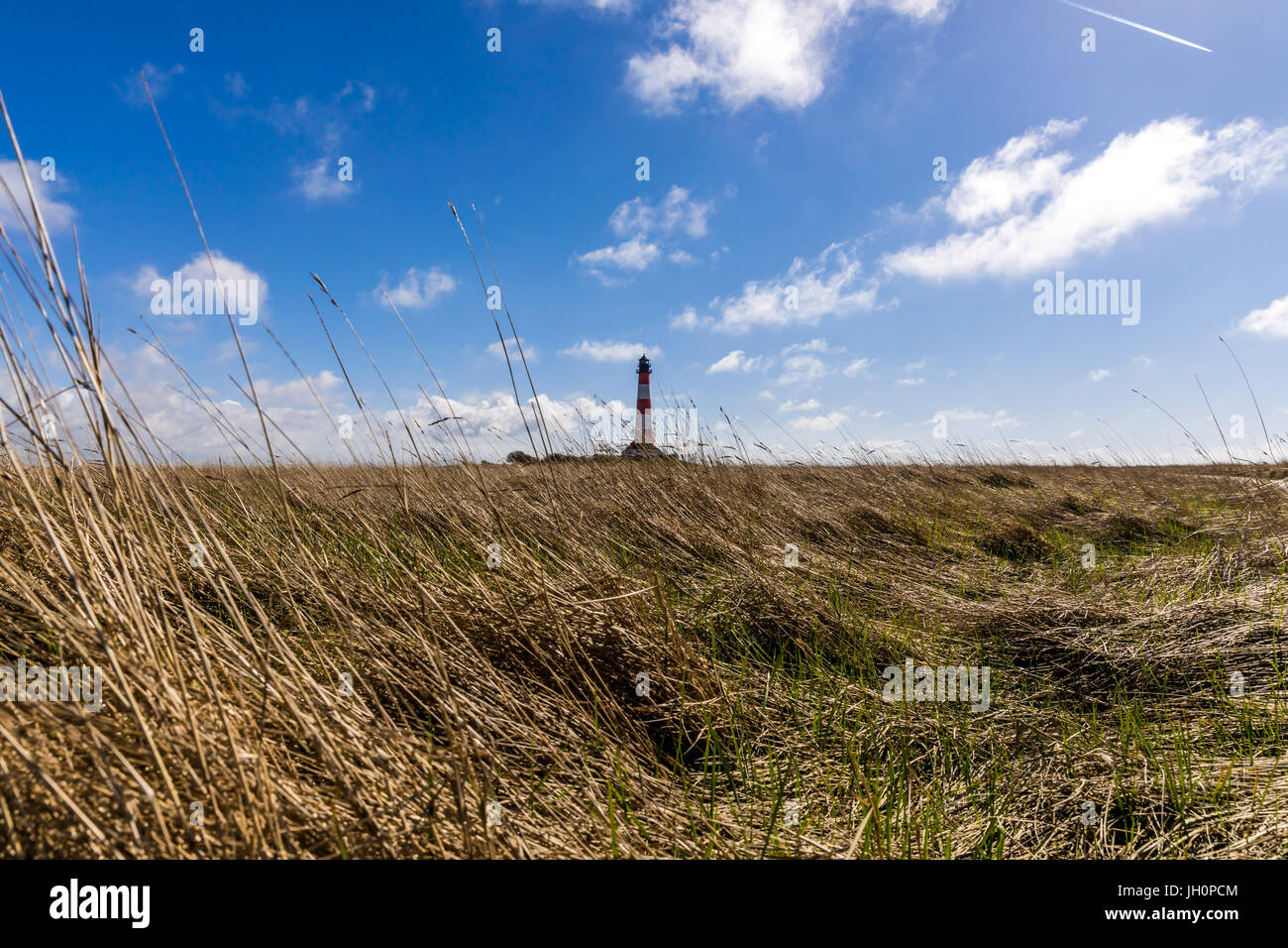 Lighthouse with Reed and Grass in German North Sea Region, North Frisia, Schleswig-Holstein Stock Photo