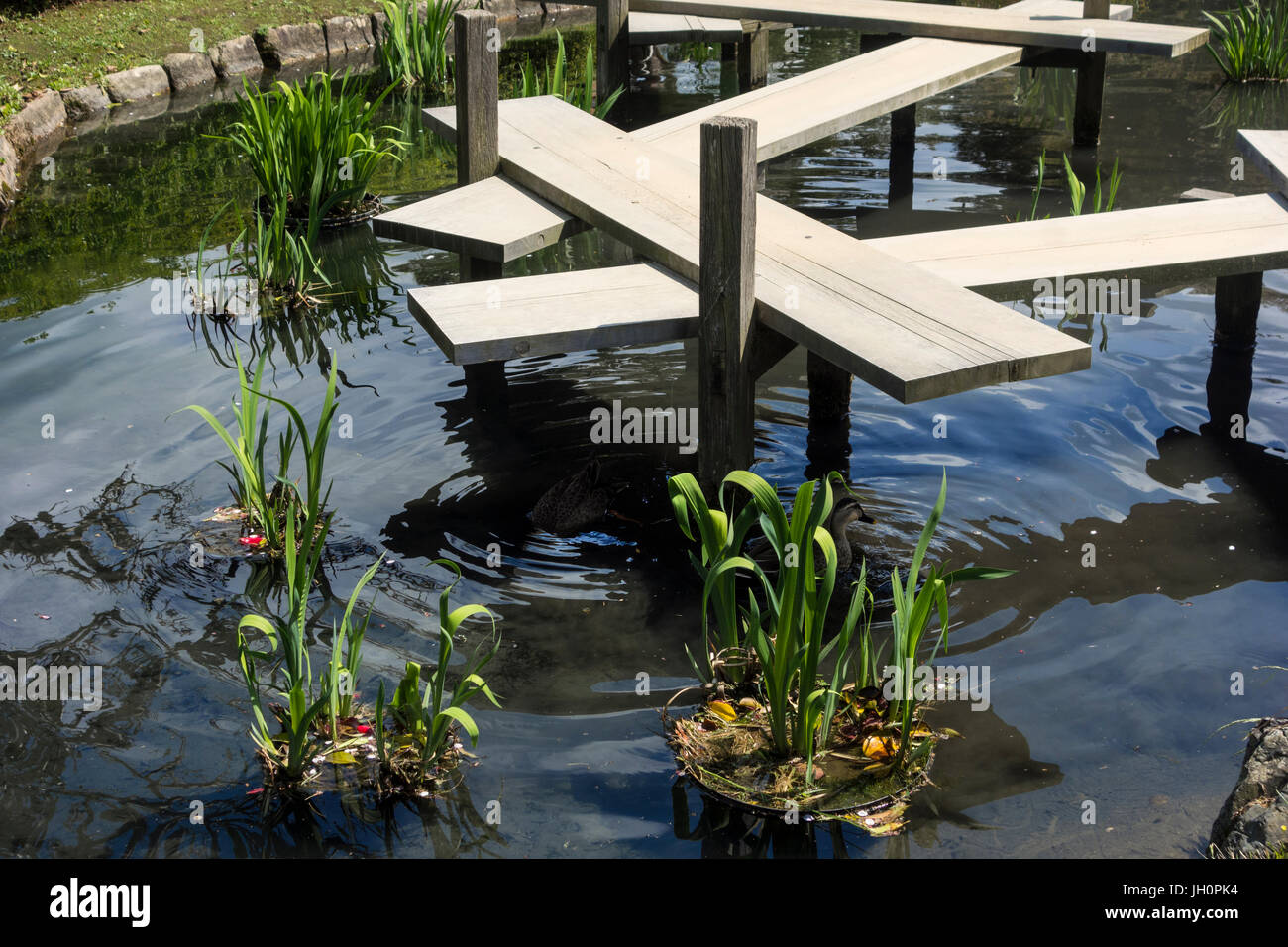 Yatsuhashi Bridge And Iris Garden Stock Photo Alamy
