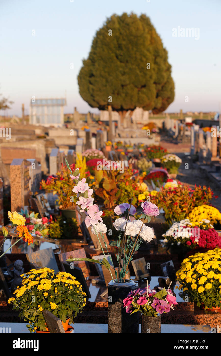 Graveyard with flowers. France Stock Photo Alamy