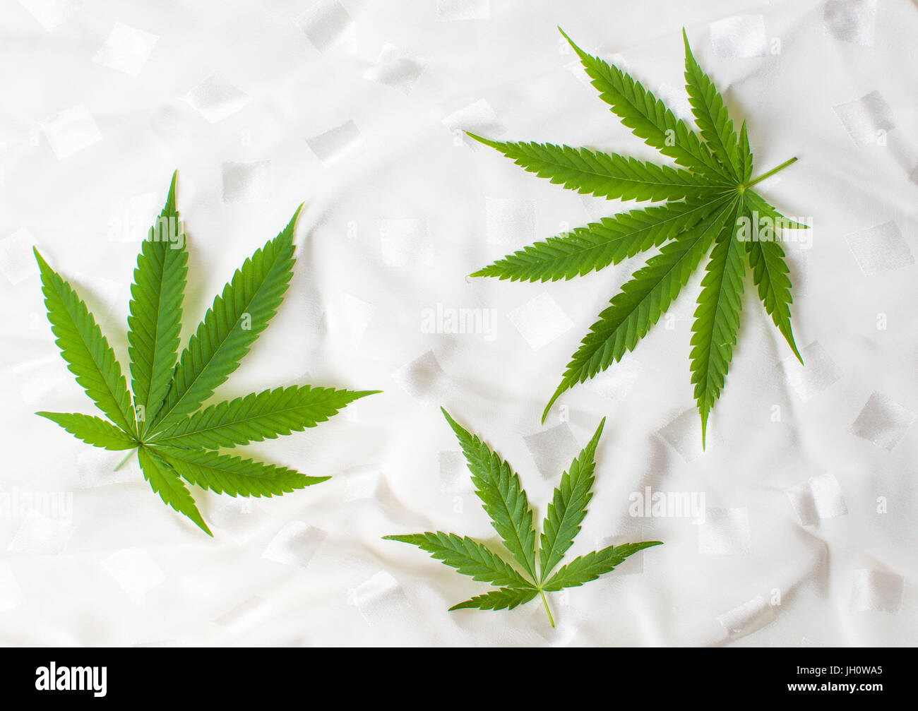 Three marijuana leaves on white textile background Stock Photo