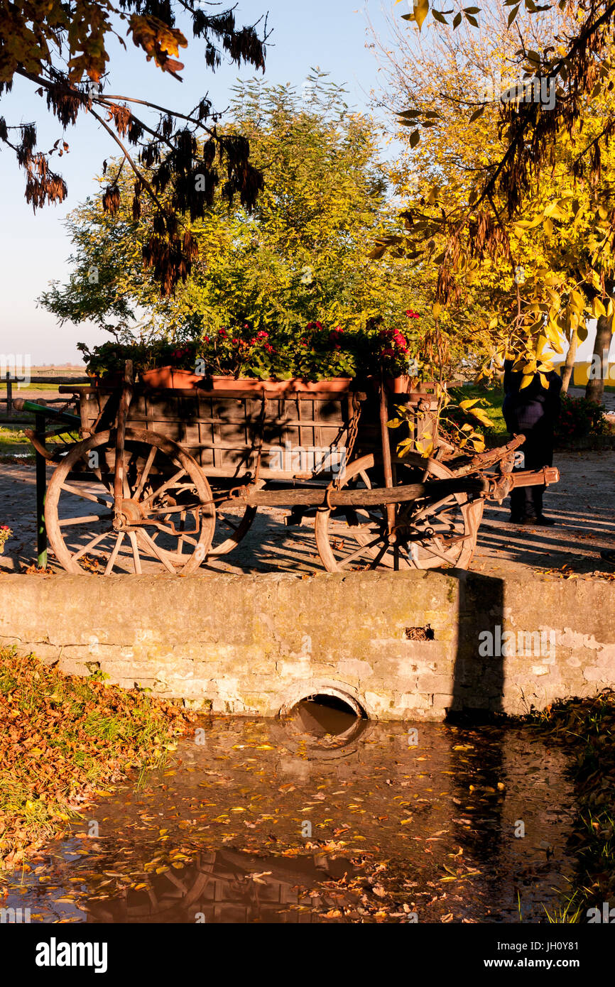 Autumn colour with a old display farm wagon filled with flowers in a traditional farm against a blue sky in Kalocsa, Hungary, Stock Photo