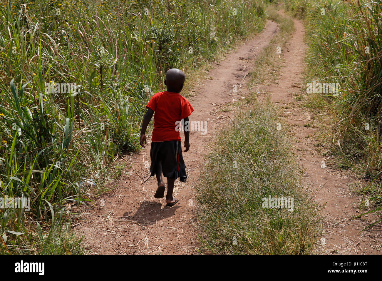 Ugandan child walking on a path. Uganda. Stock Photo