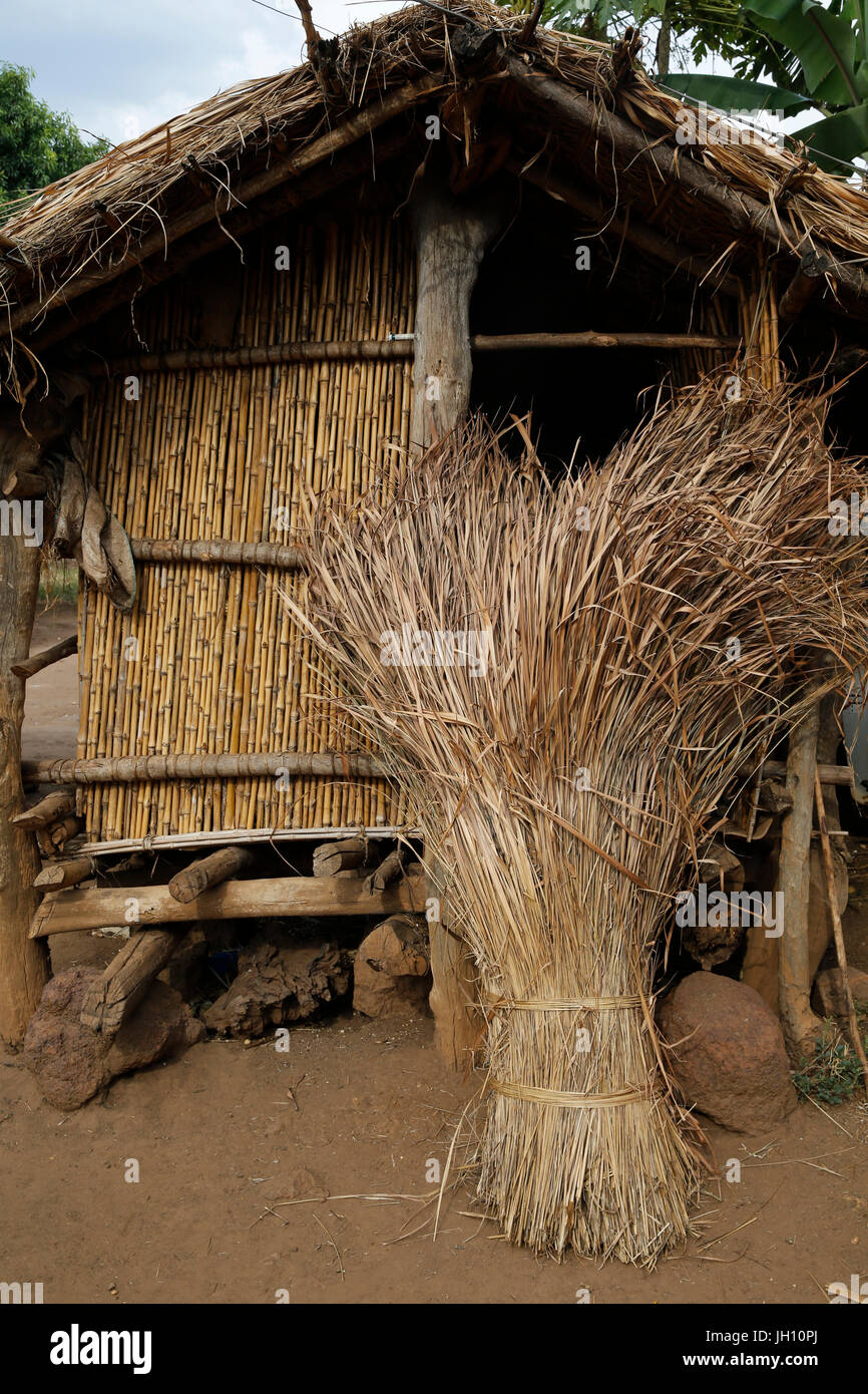 Barn. Uganda. Stock Photo