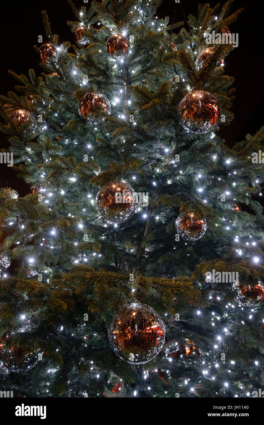 Christmas tree. United kingdom. Stock Photo