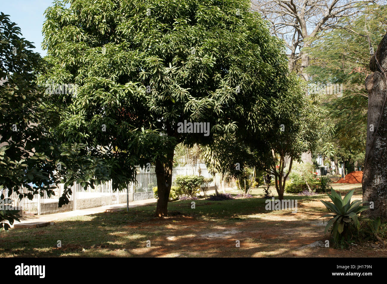 South wing, neighborhood, city, Distrito Federal, Brasília, Brazil
