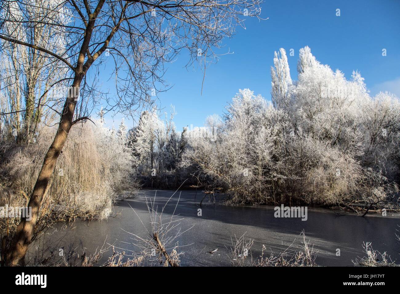 FROST IN WINTER,NORMANDY,FRANCE Stock Photo - Alamy