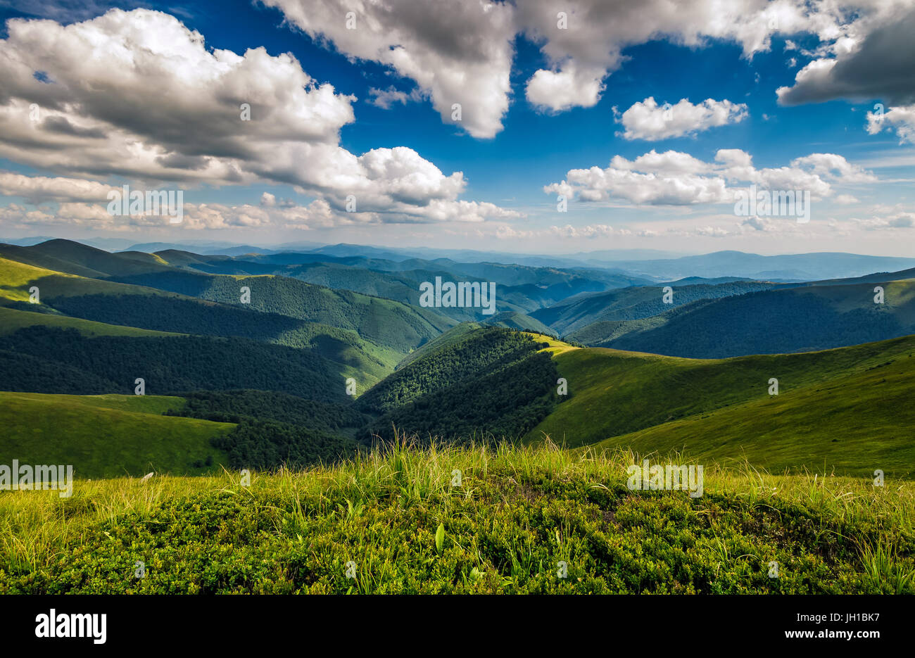 green grass on hillside meadow in high mountains under the cloudy blue sky Stock Photo