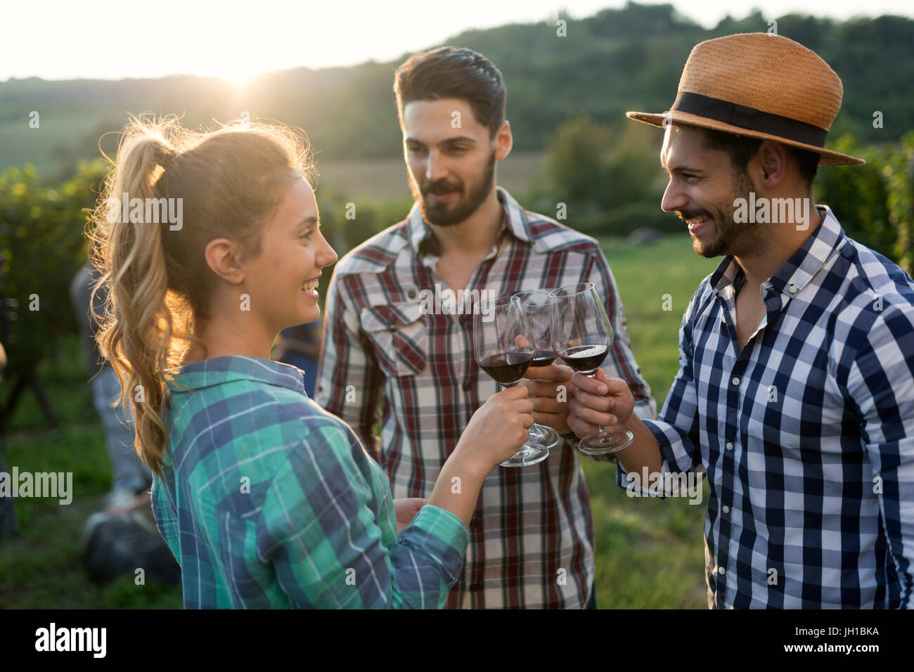 People tasting wine in vineyard Stock Photo - Alamy