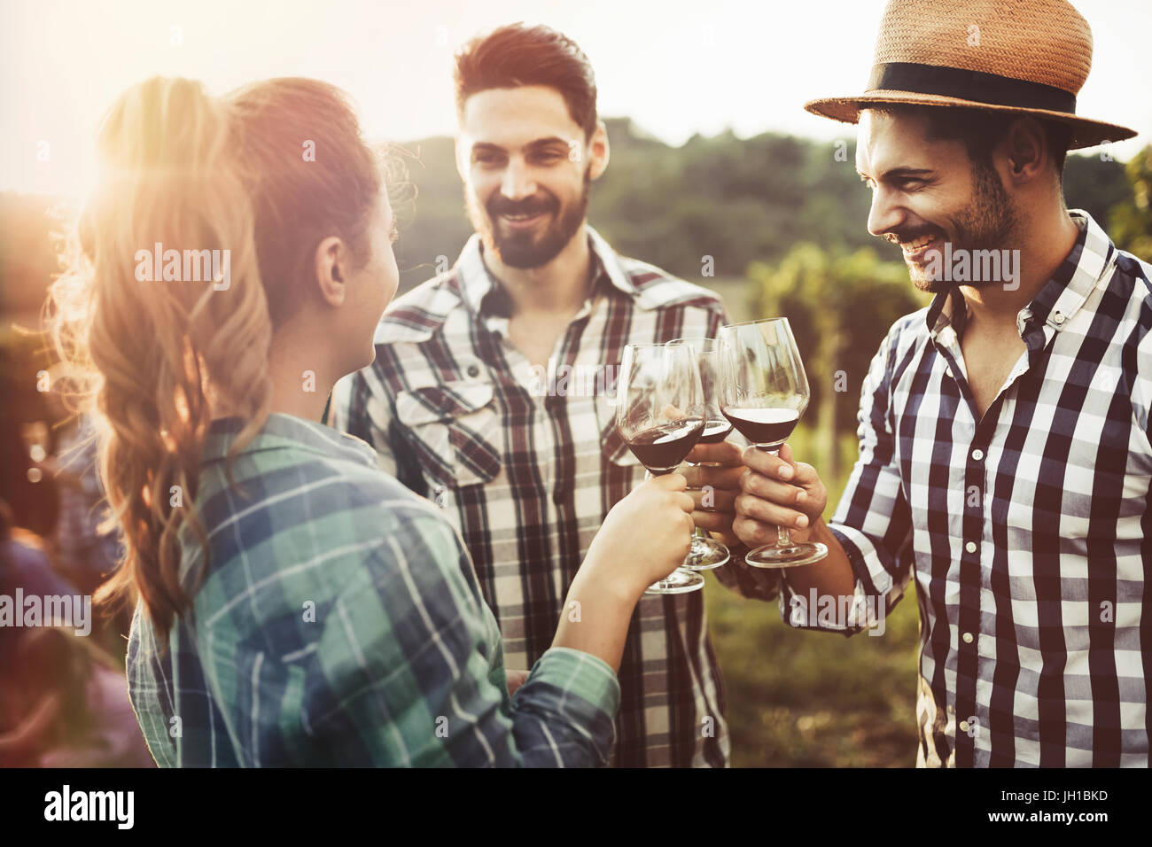 People tasting wine in vineyard Stock Photo - Alamy
