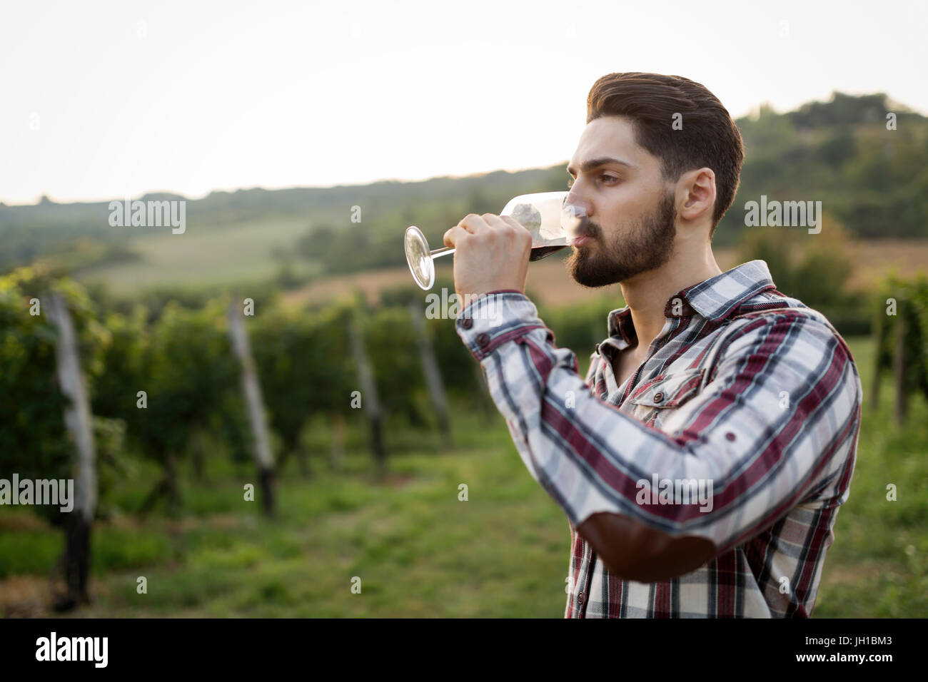 Winegrower tasting wine in vineyard Stock Photo - Alamy