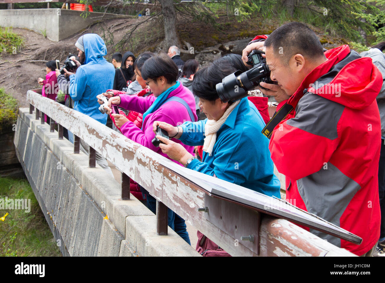 People are taking photos of Anthabasca Falls from a bridge, Jasper National Park, Alberta, Canada Stock Photo