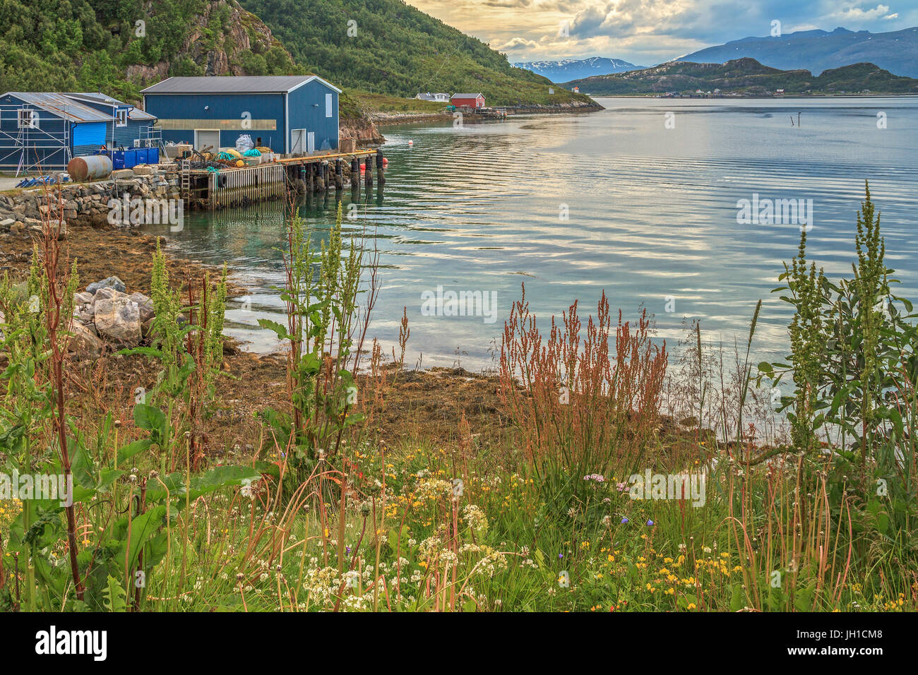 Part Of Harbour At Sommaroy Island Tromso Norway Stock Photo