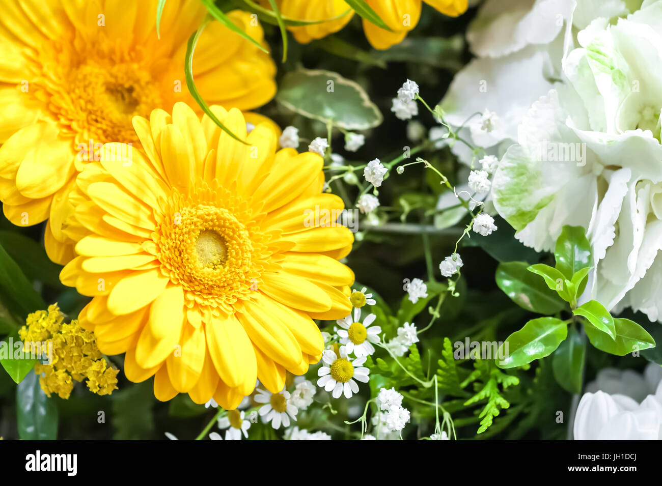 closeup of a bright summer bouquet of flowers Stock Photo