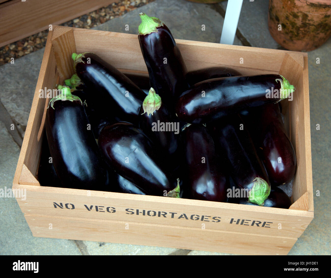Box of aubergines at the Chelsea Flower Show 2017 Stock Photo