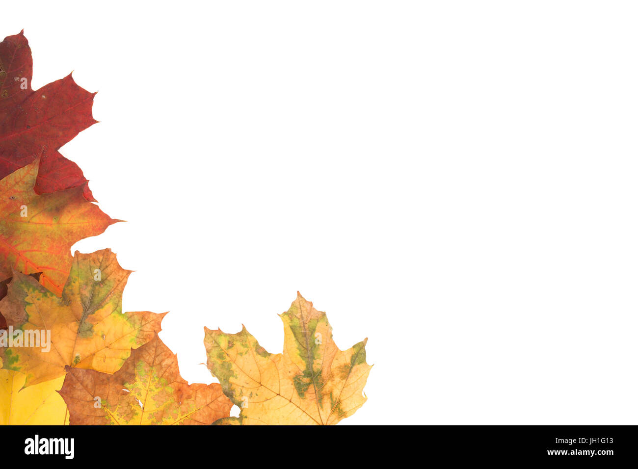 Frame of autumn leaves. Leaves are on the white background Stock Photo ...