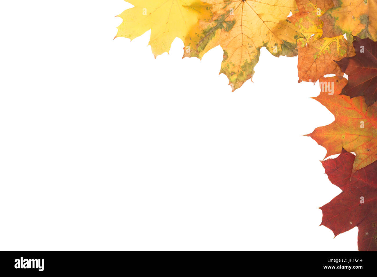 Frame of autumn leaves. Leaves are on the white background Stock Photo ...