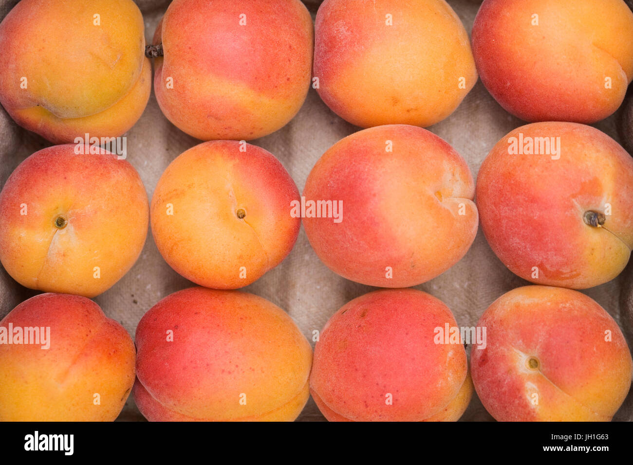 Prunus armeniaca. Box of fresh Apricots Stock Photo