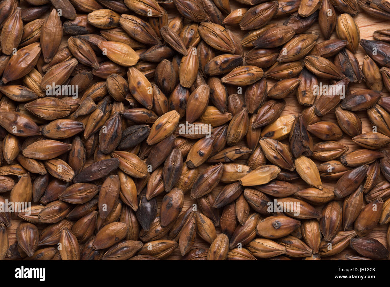 Barley texture hi-res stock photography and images - Alamy