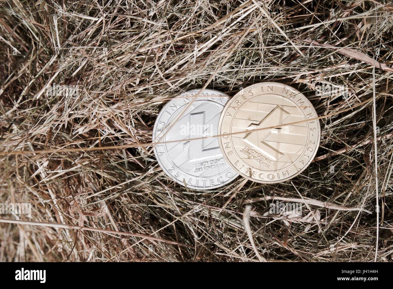 Digital Currency Physical Silver And Gold Litecoin Coin In Grass Stock