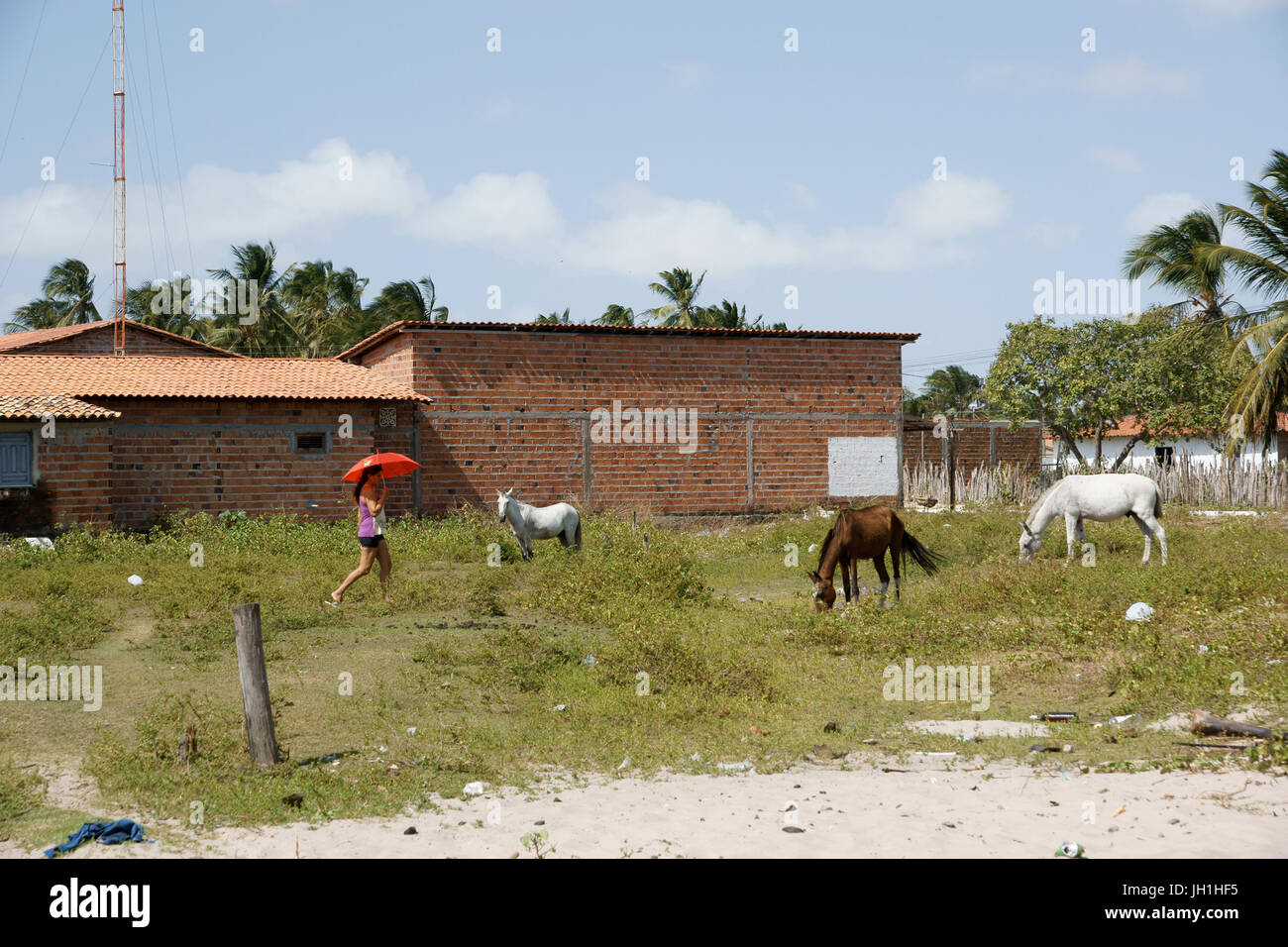 Animal, people, woman, City, Lençois Maranhense, Santo Amaro, São Luis, Maranhão, Brazil Stock Photo