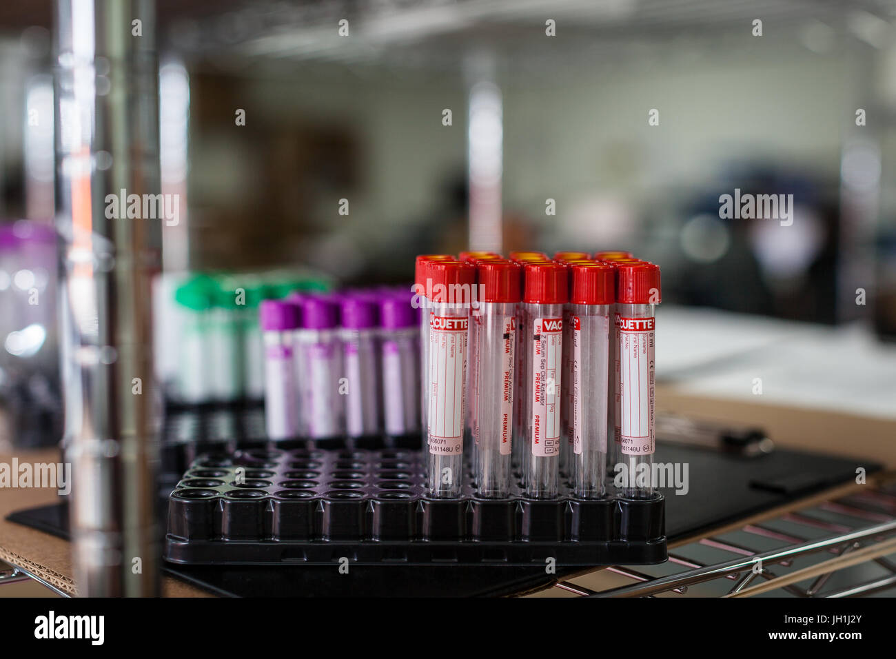 Blood testing kits ready to be used for test blood for a variety of ...