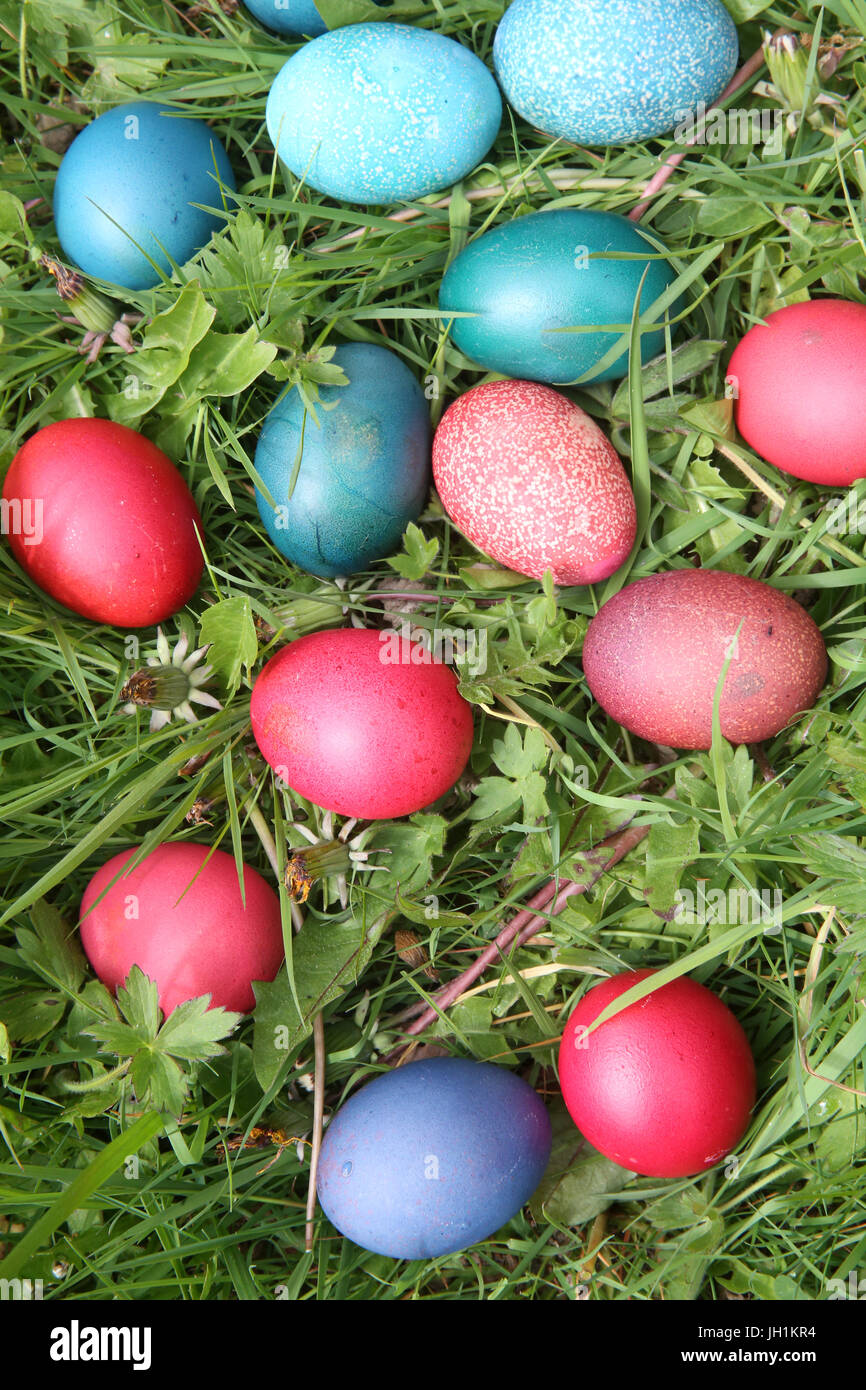 Colorful easter eggs. France Stock Photo Alamy