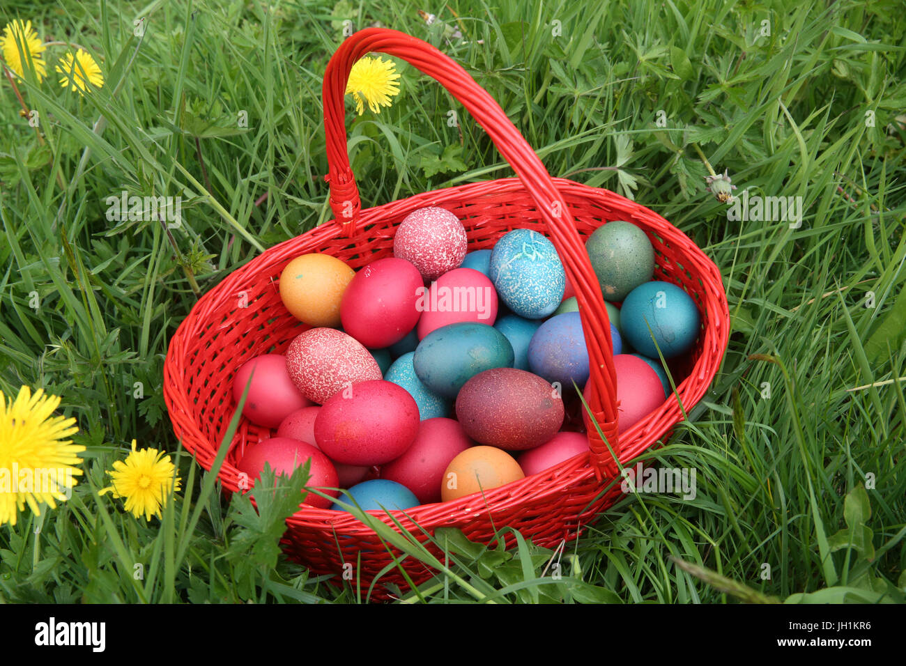 Colorful easter eggs in a basket. France Stock Photo Alamy