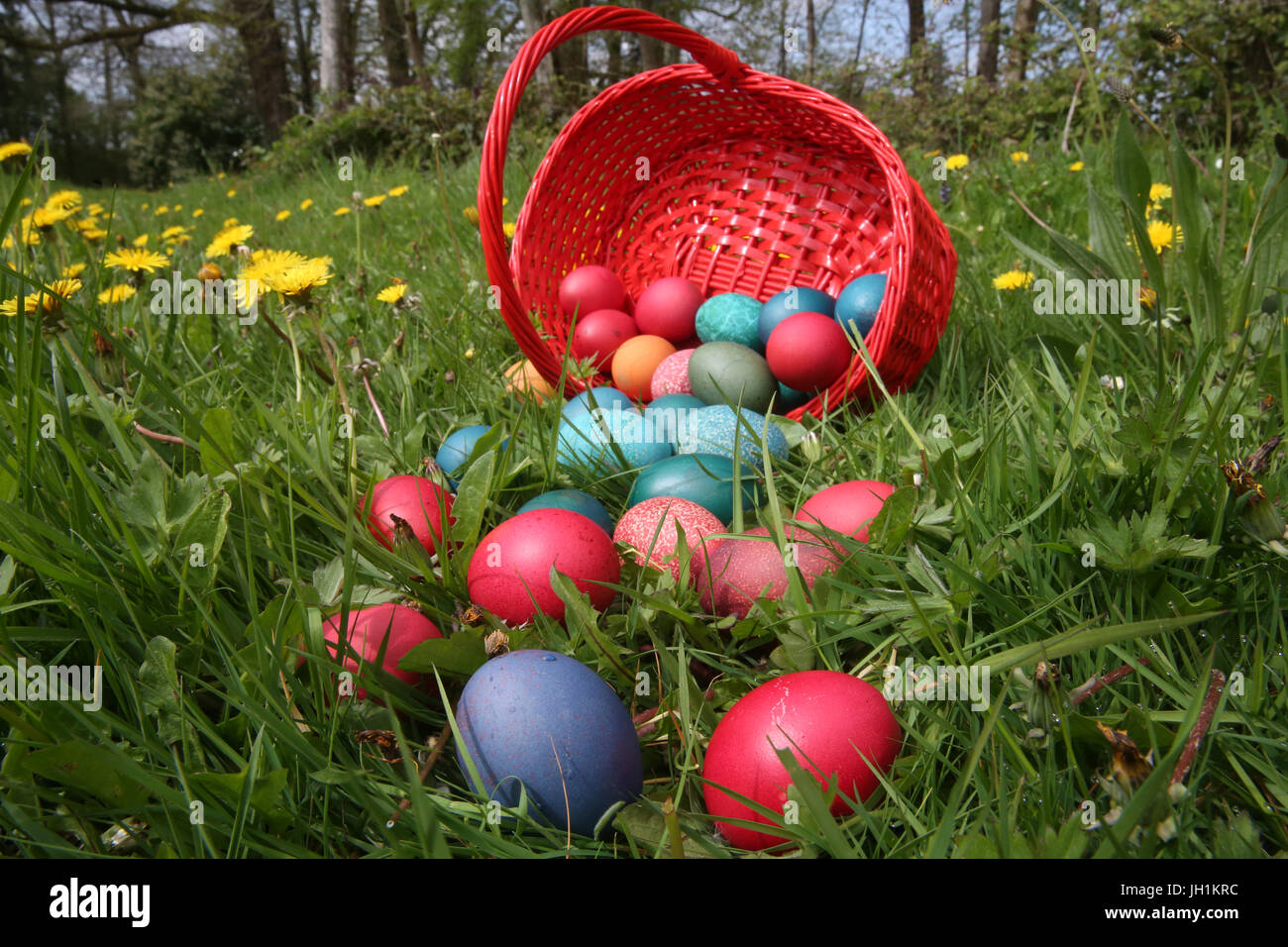 Colorful easter eggs in a basket. France Stock Photo - Alamy