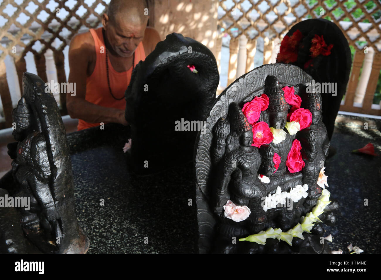 Hindu temple devotee placing flowers on murthis in Raman Reti. India. Stock Photo