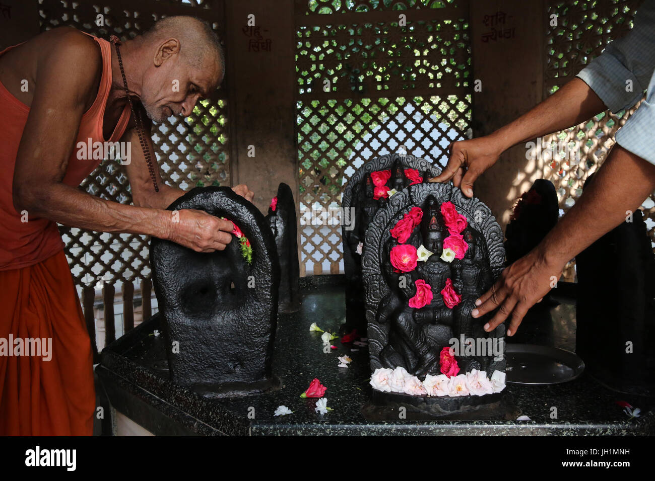Hindu temple devotee placing flowers on murthis in Raman Reti. India. Stock Photo