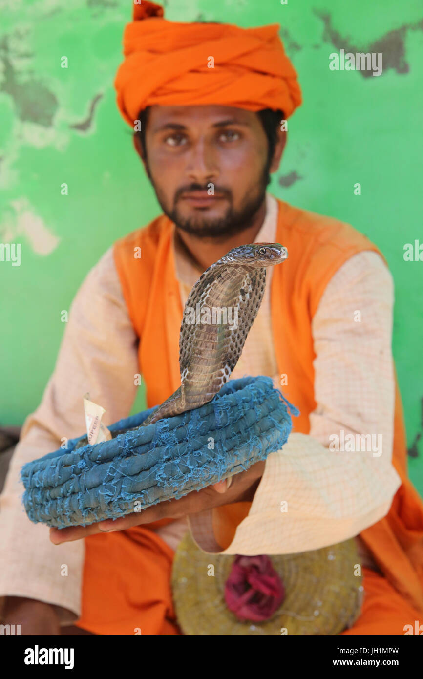 Snake charmer in india hires stock photography and images Alamy