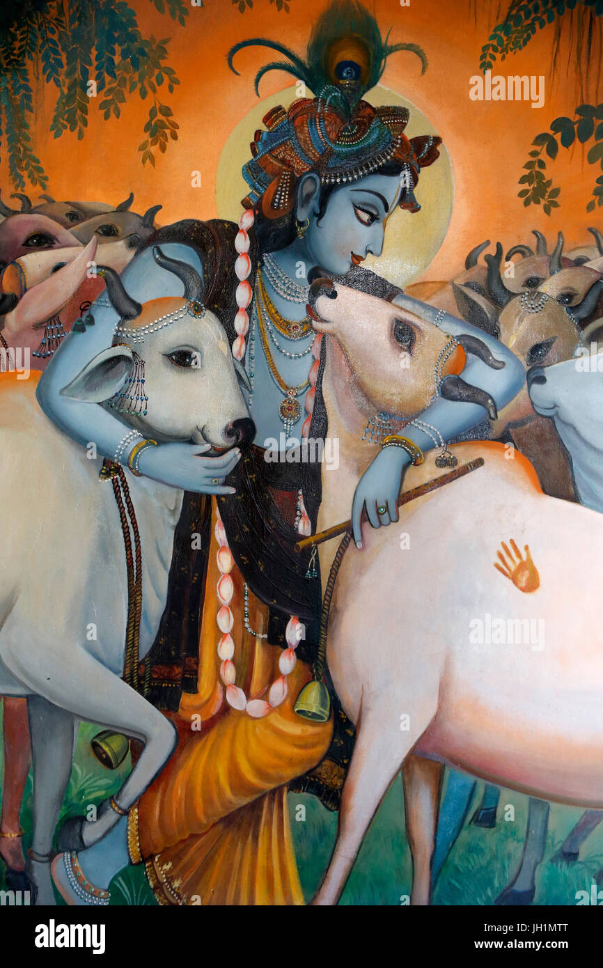 Painting depicting Hindu god Krishna hugging cows. India. Stock Photo