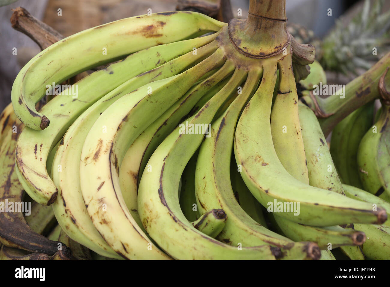 African fruits market. Bananas. Lome. Togo Stock Photo Alamy