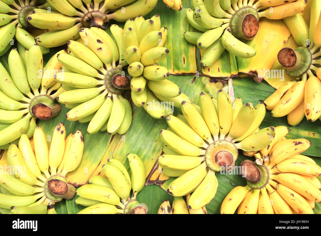 Bunches of bananas.  Thailand. Stock Photo