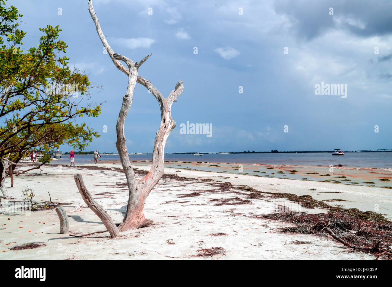 sanibel island beach Stock Photo