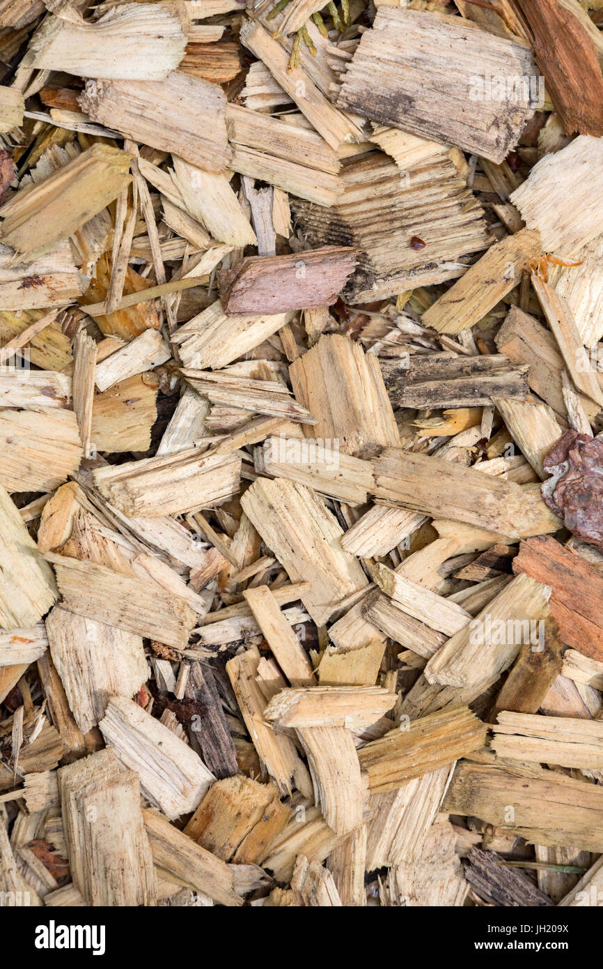 Textures of Wood chips. Stock Photo
