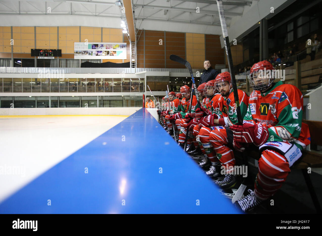 Ice Hockey match. France Stock Photo Alamy