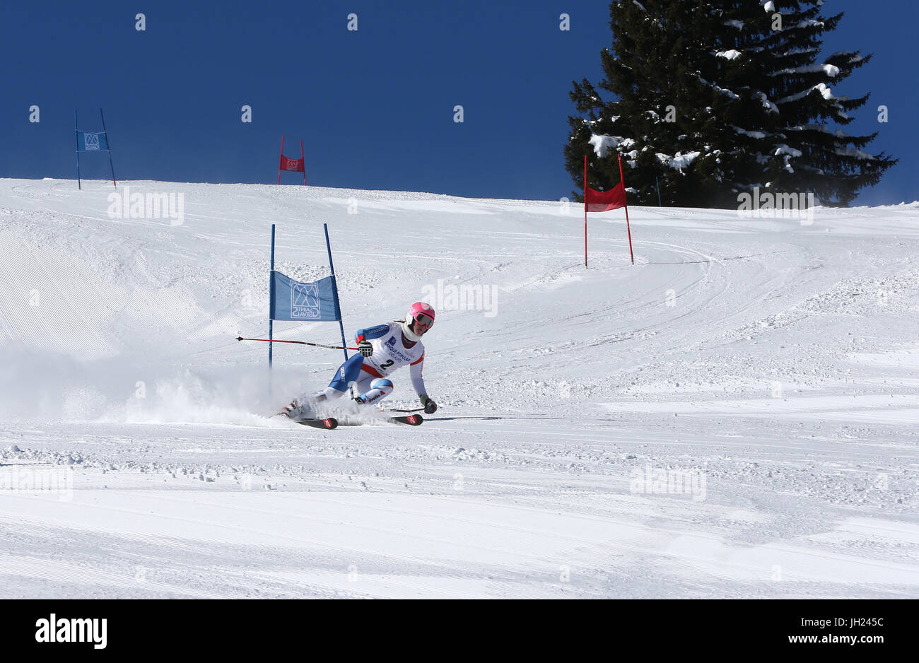 French Alps.  Giant Slalom skier rounds gate at high speed.  France. Stock Photo