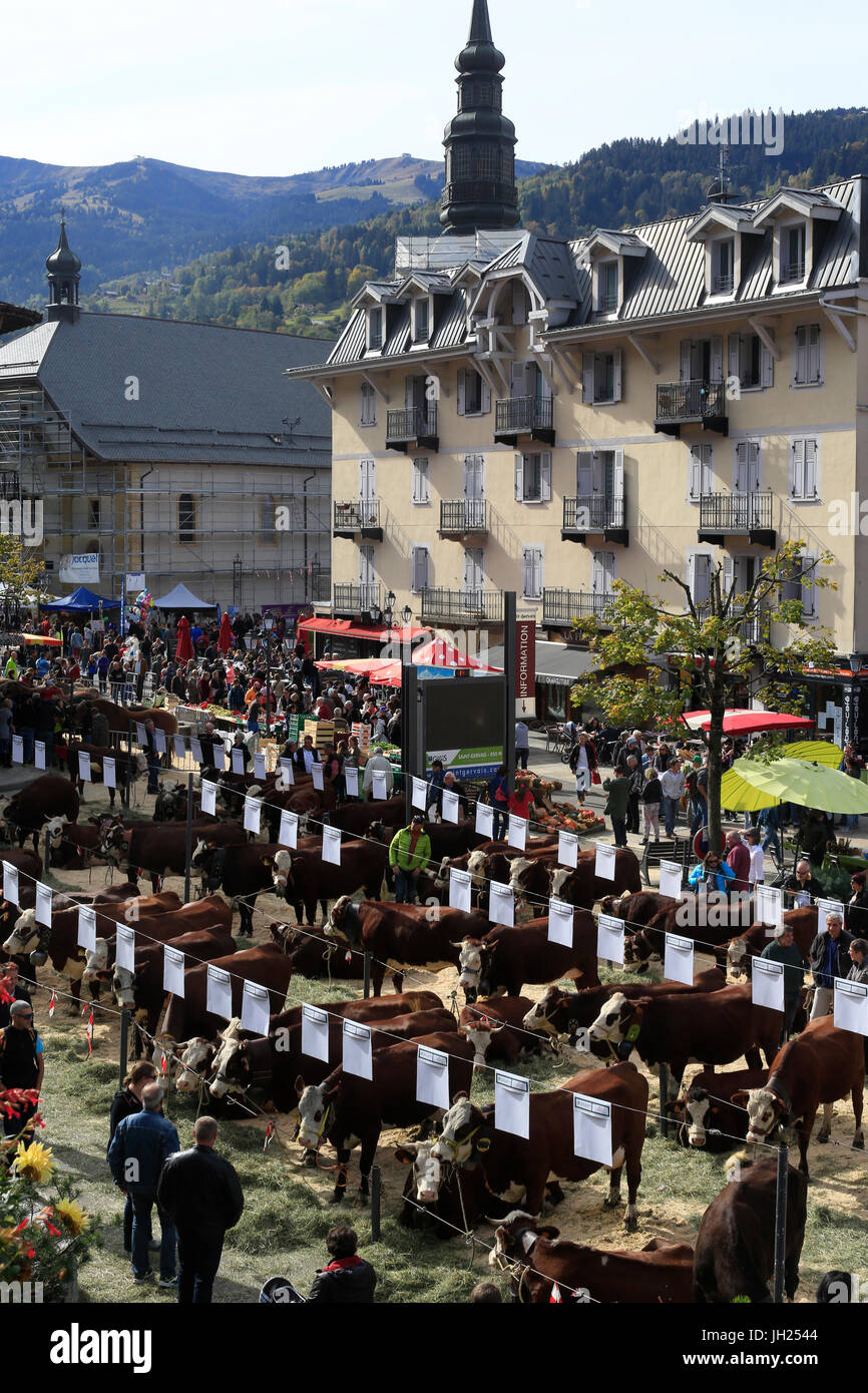 The agriculture fair (Comice Agricole) of Saint-Gervais-les-Bains. France. Stock Photo