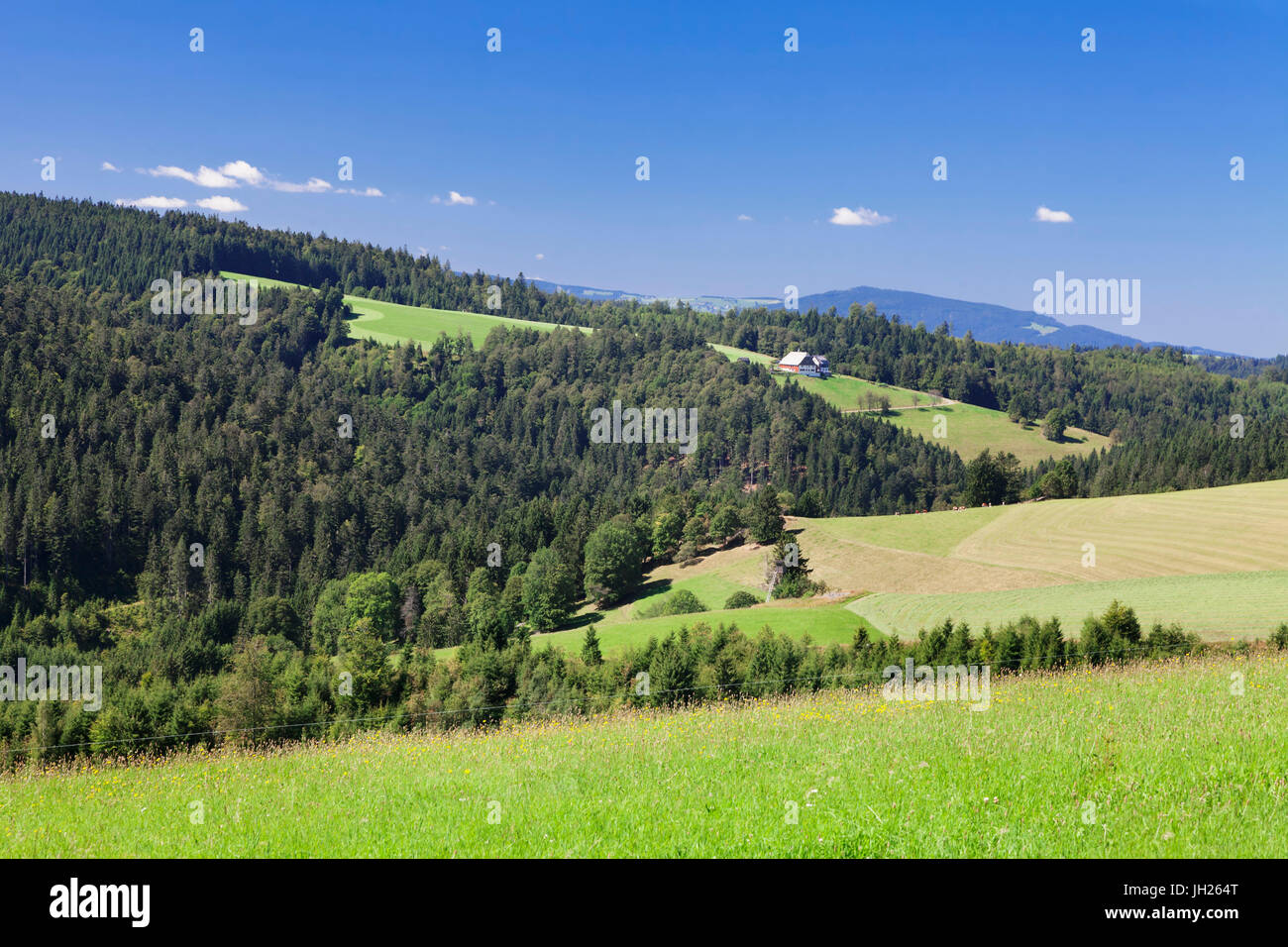 Landscape with farmhouse, near Schonwald, Black Forest, Baden Wurttemberg, Germany, Europe Stock Photo
