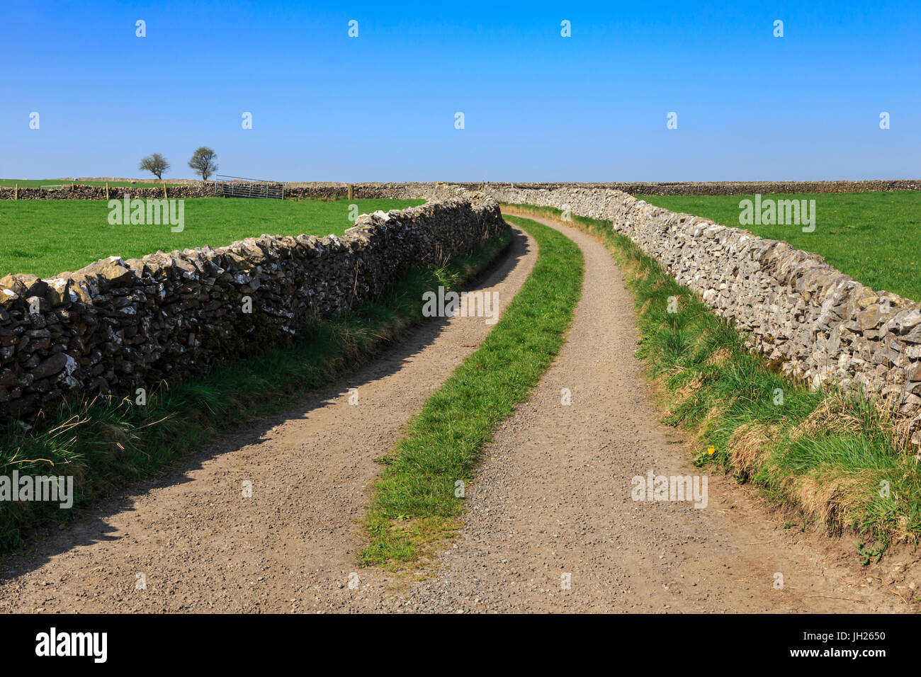 Track disappears into distance, between dry stone walls, a typical country scene, Peak District, Derbyshire, England, UK Stock Photo