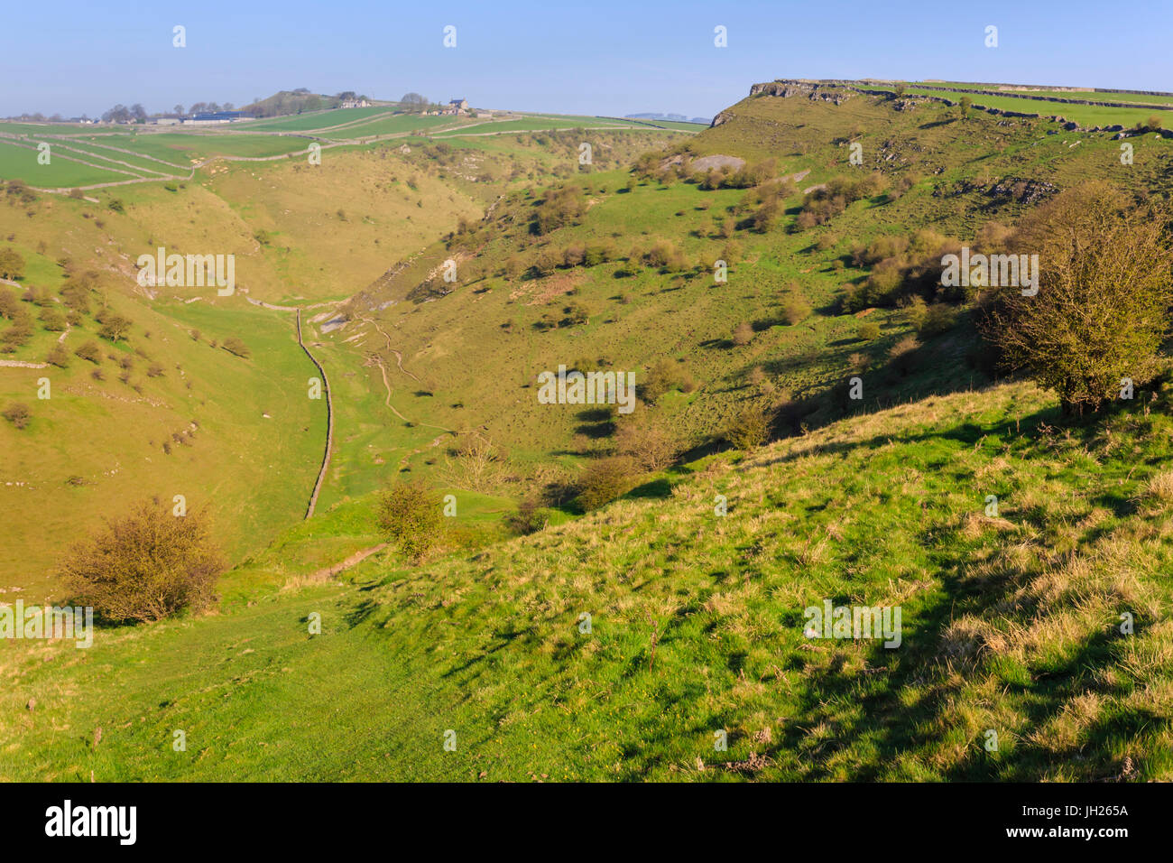 Cressbrook Dale Nature Reserve, rolling landscape, elevated view in spring, Peak District National Park, Derbyshire, England, UK Stock Photo