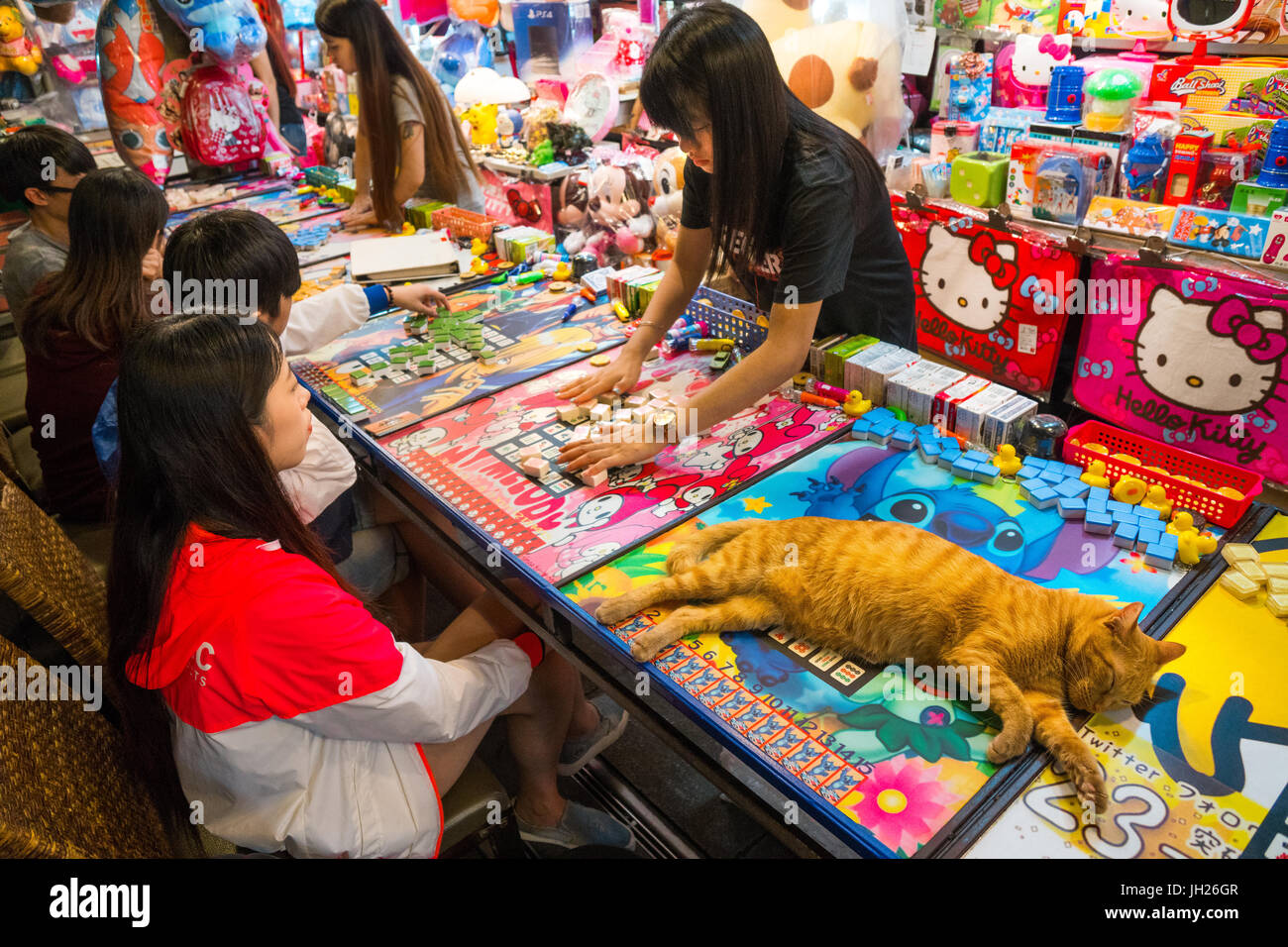 Beautiful ginger cat sprawled over game table while vendor sorts and sets up mahjong tiles for young customers, Taipei, Taiwan Stock Photo