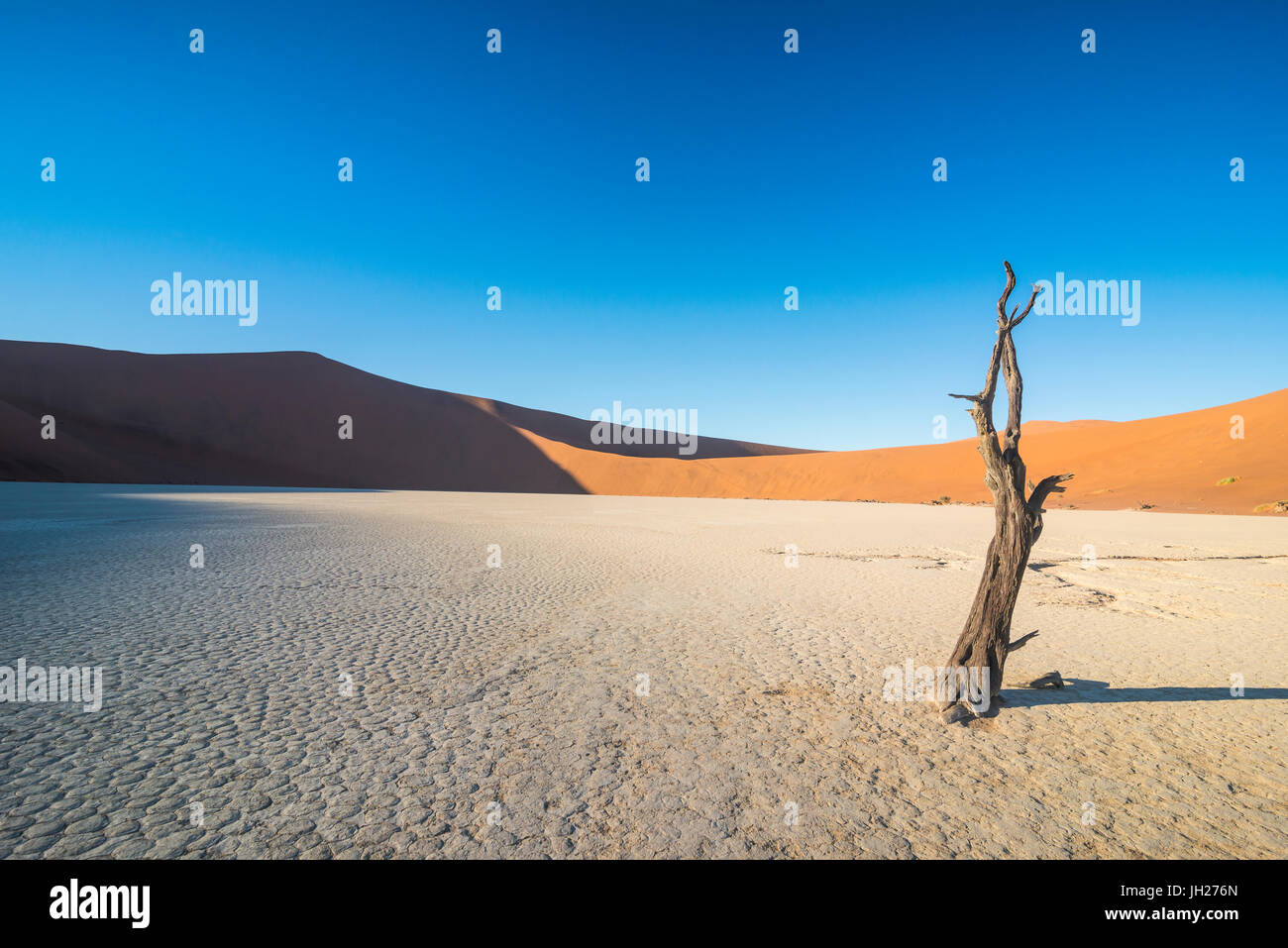 Deadvlei, an old dry lake in the Namib desert, Namibia, Africa Stock Photo