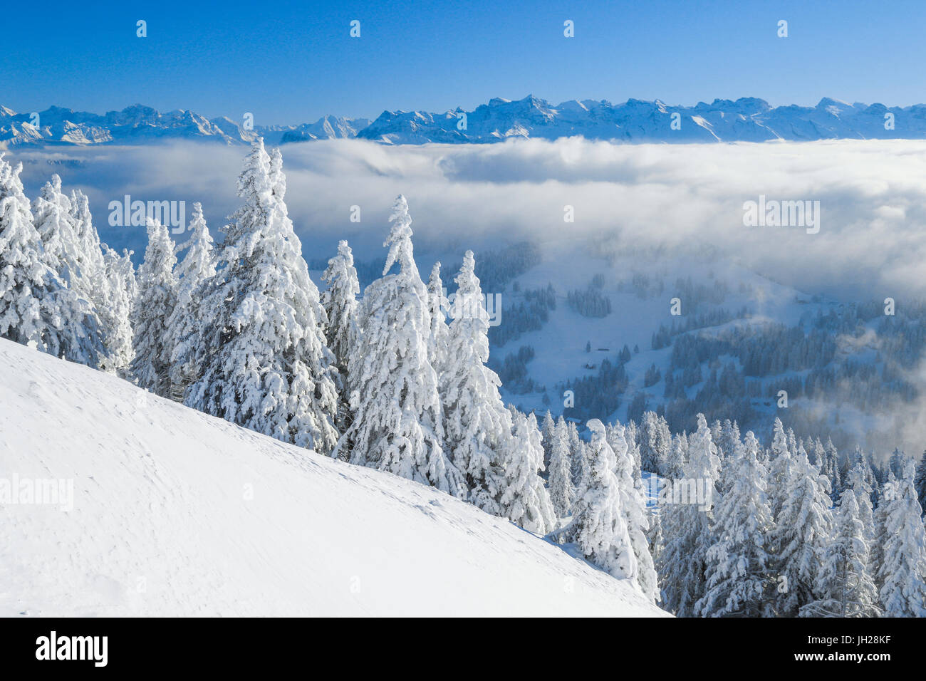 View from Rigi Kulm, Swiss Alps, Switzerland, Europe Stock Photo