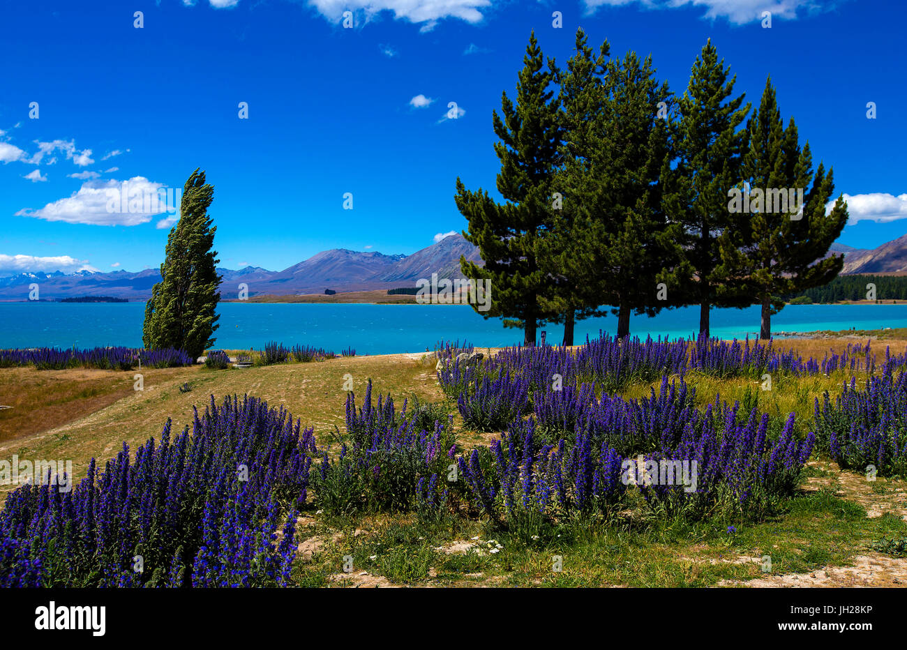 Mackenzie Country New Zealand Hi res Stock Photography And Images Alamy