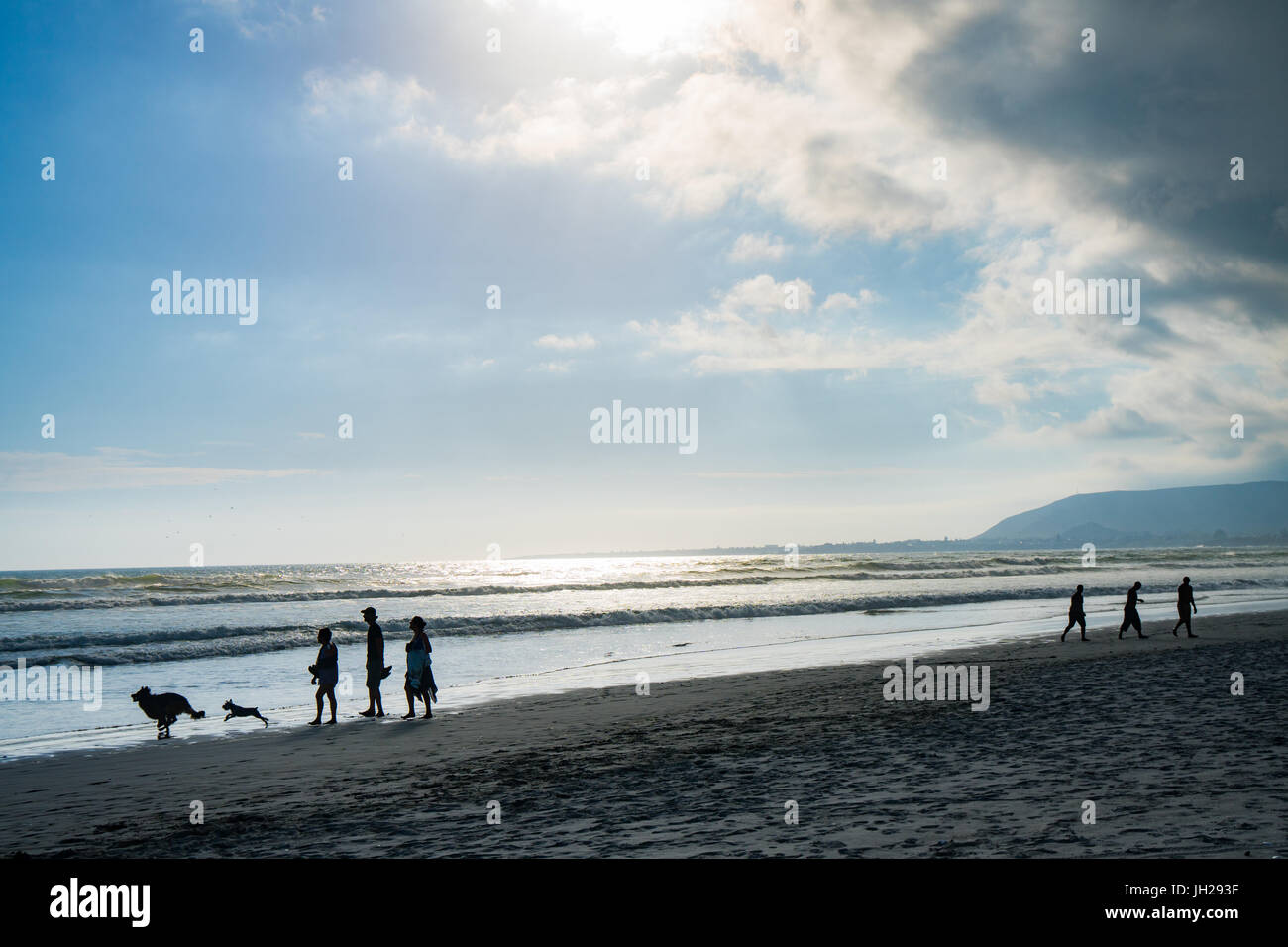 Silhouetted people and their dogs walking on the main beach as the sun sets, Hermanus, South Africa, Africa Stock Photo