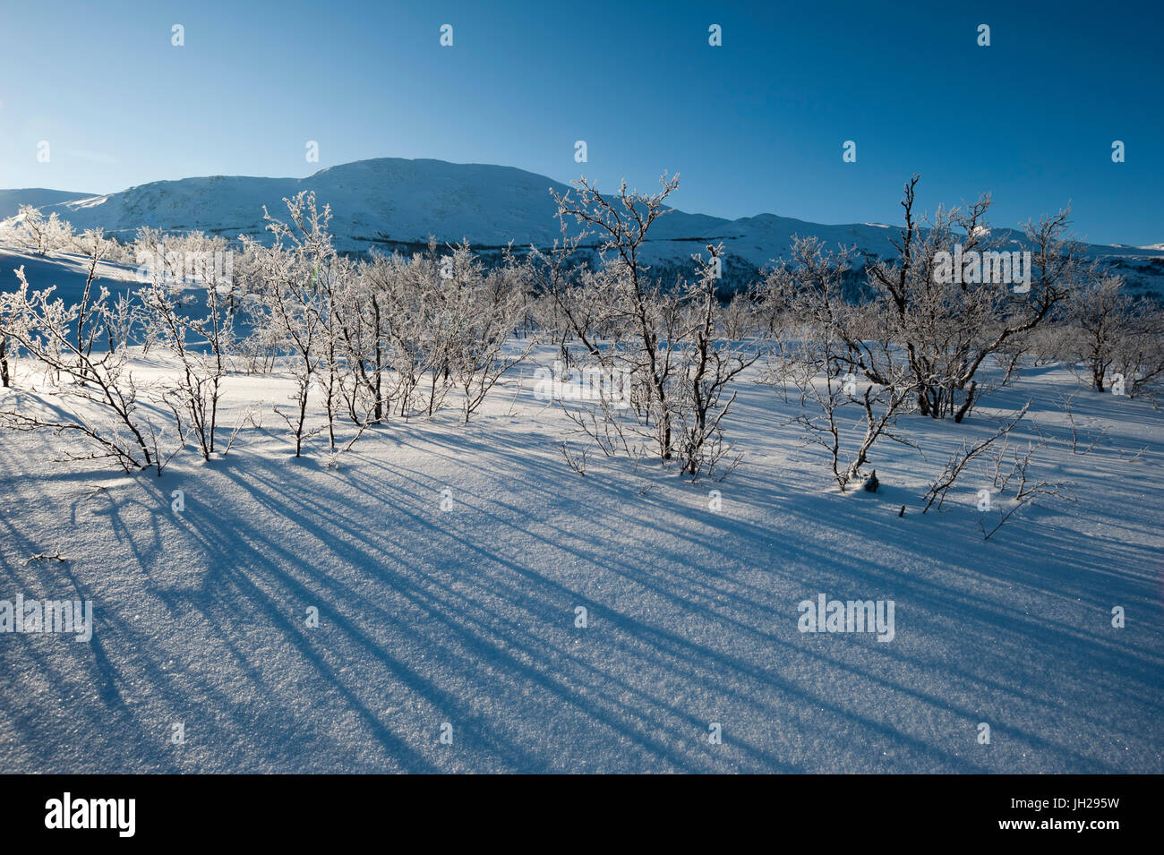 A frozen landscape near Kiruna, Sweden, Scandinavia, Europe Stock Photo