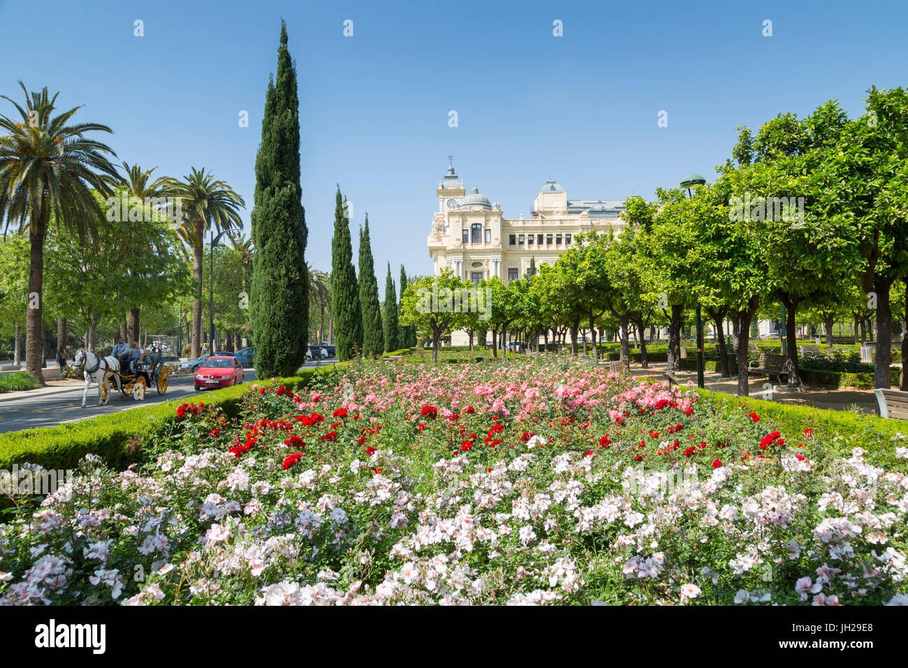 View of Jardines de Pedro Luis Alonso and Town Hall Palace (Ayuntamiento), Malaga, Costa del Sol, Andalusia, Spain, Europe Stock Photo